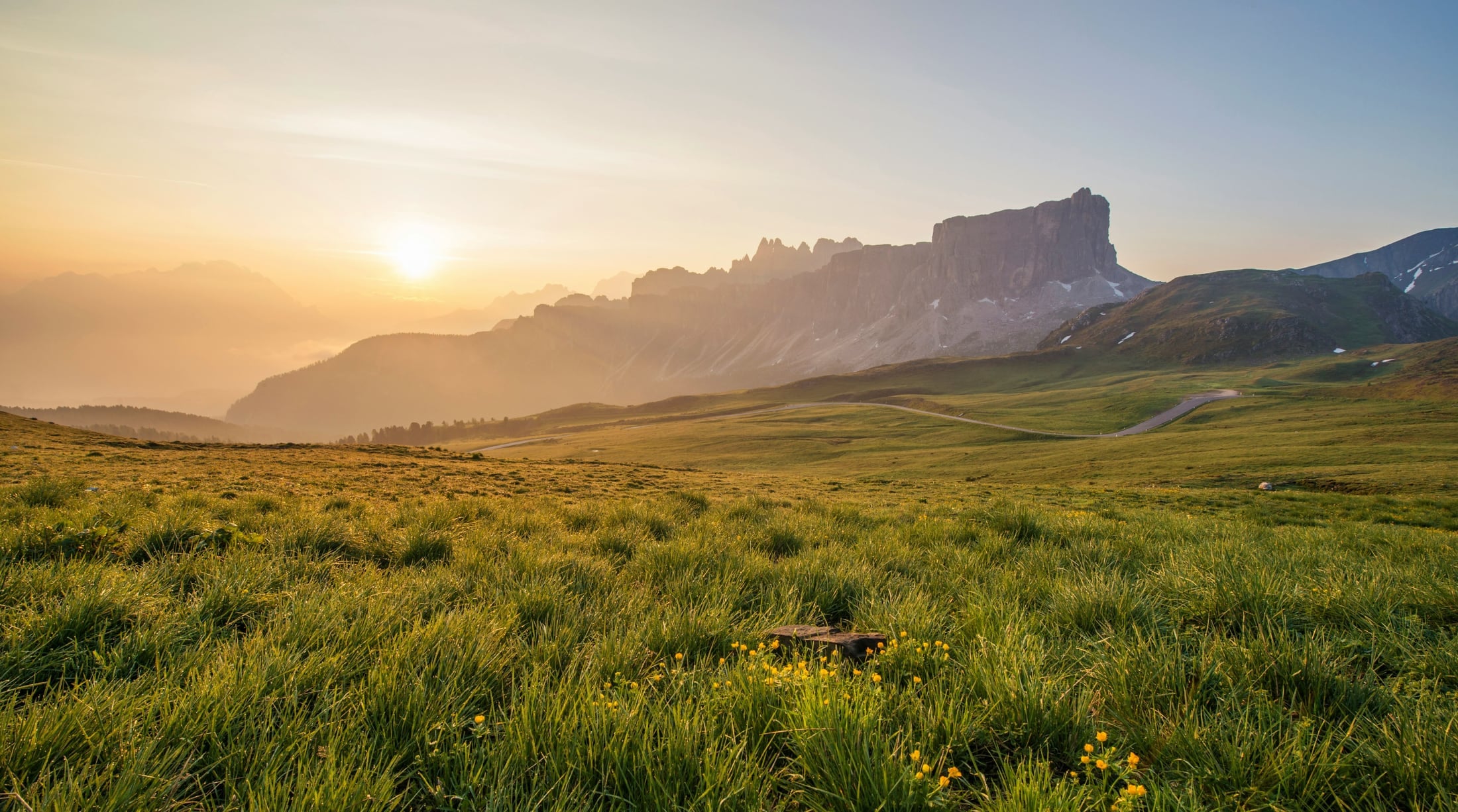 Mountain meadow at sunset